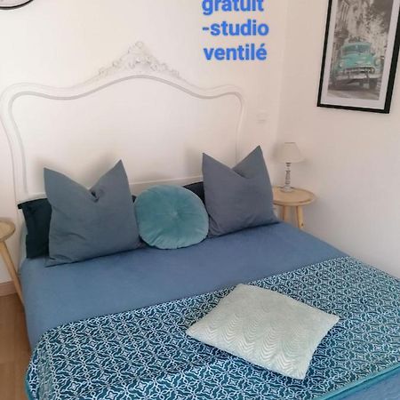 דירות Charmant Logement En Plein Centre De Mâcon מראה חיצוני תמונה